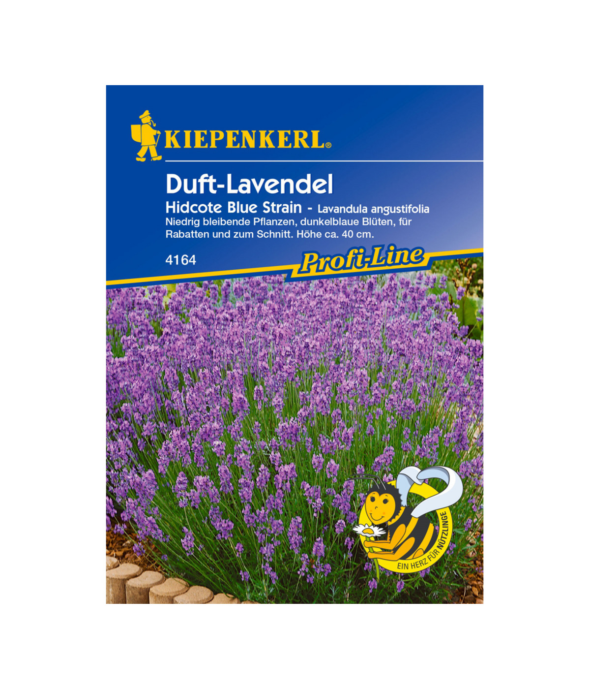 Kiepenkerl Saatgut DuftLavendel 'Hidcote Blue Strain' Dehner