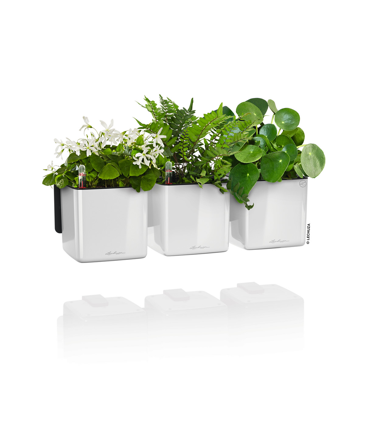 LECHUZA® CUBE Glossy Green Wall Home Kit, ca. B48/H14/T15 cm Dehner