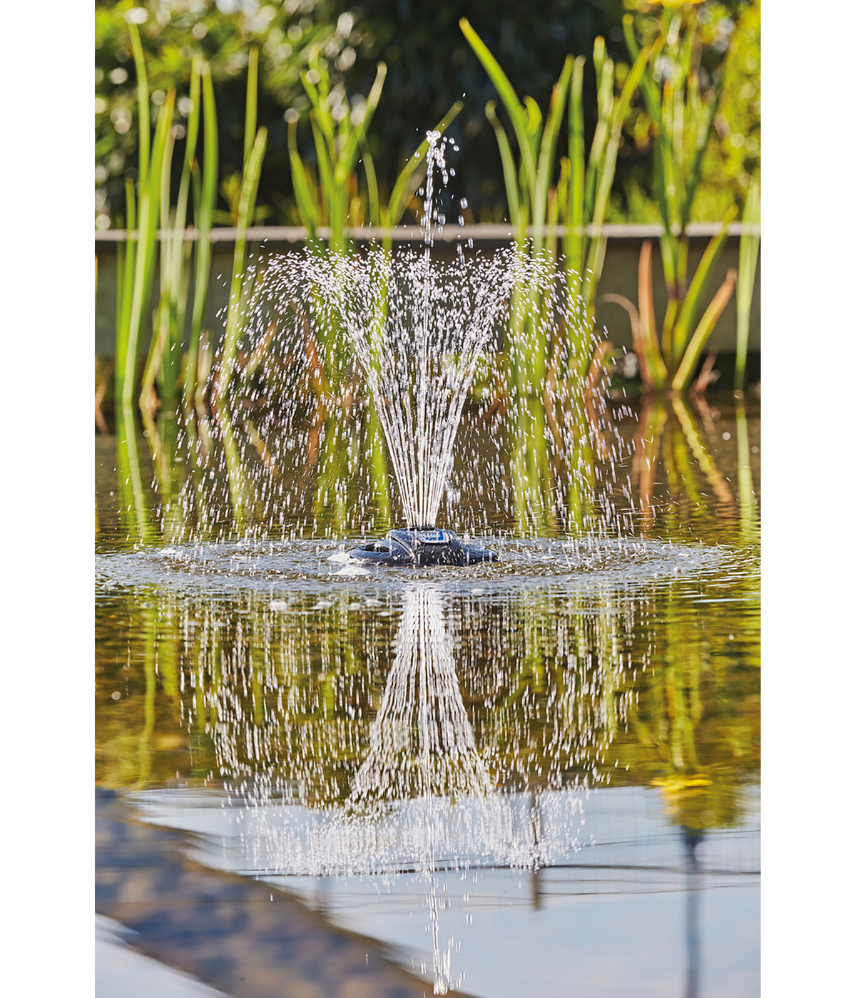 Oase Eisfreihalter Icefree 4 Seasons Dehner
