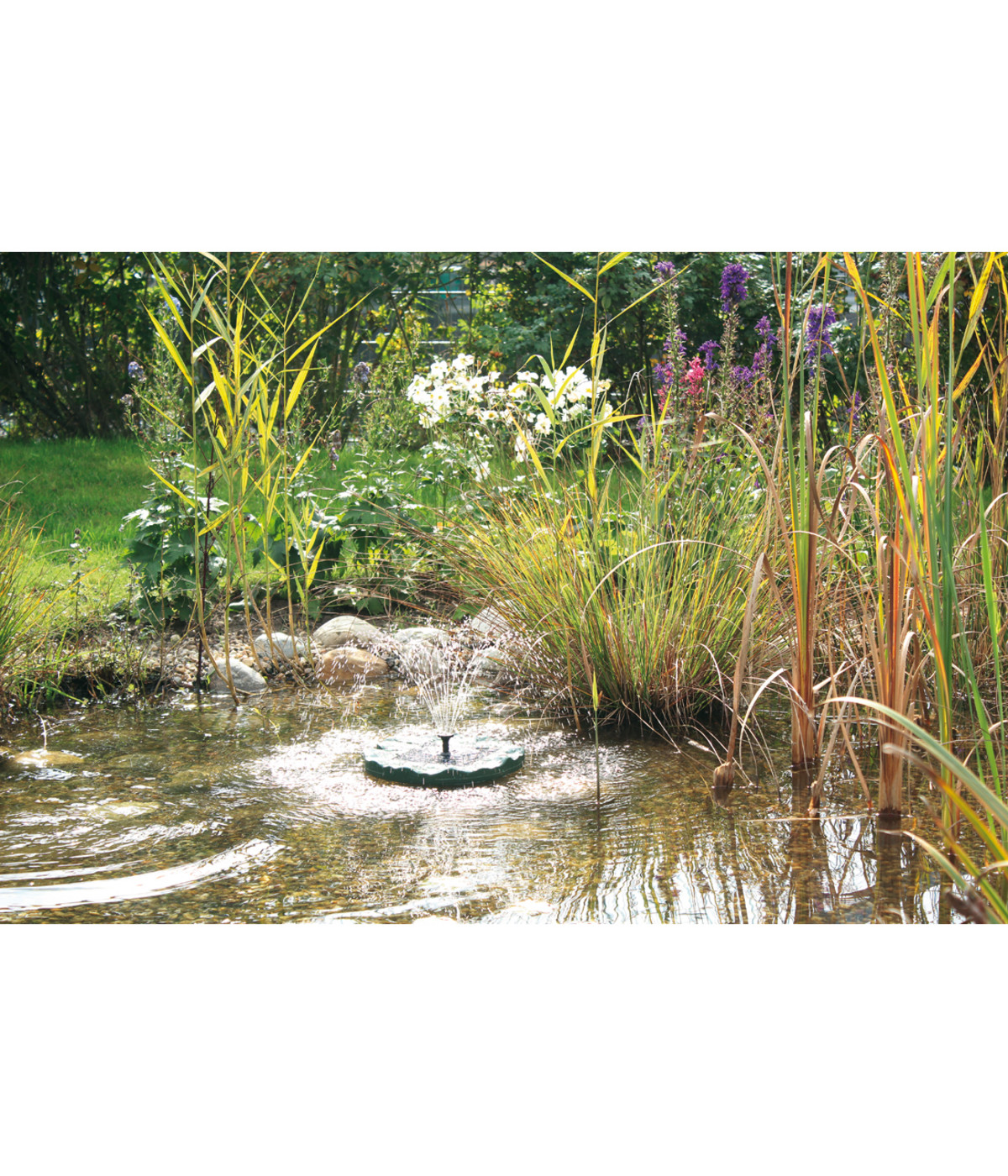 Pontec Solarpumpe PondoSolar Lily Island Dehner