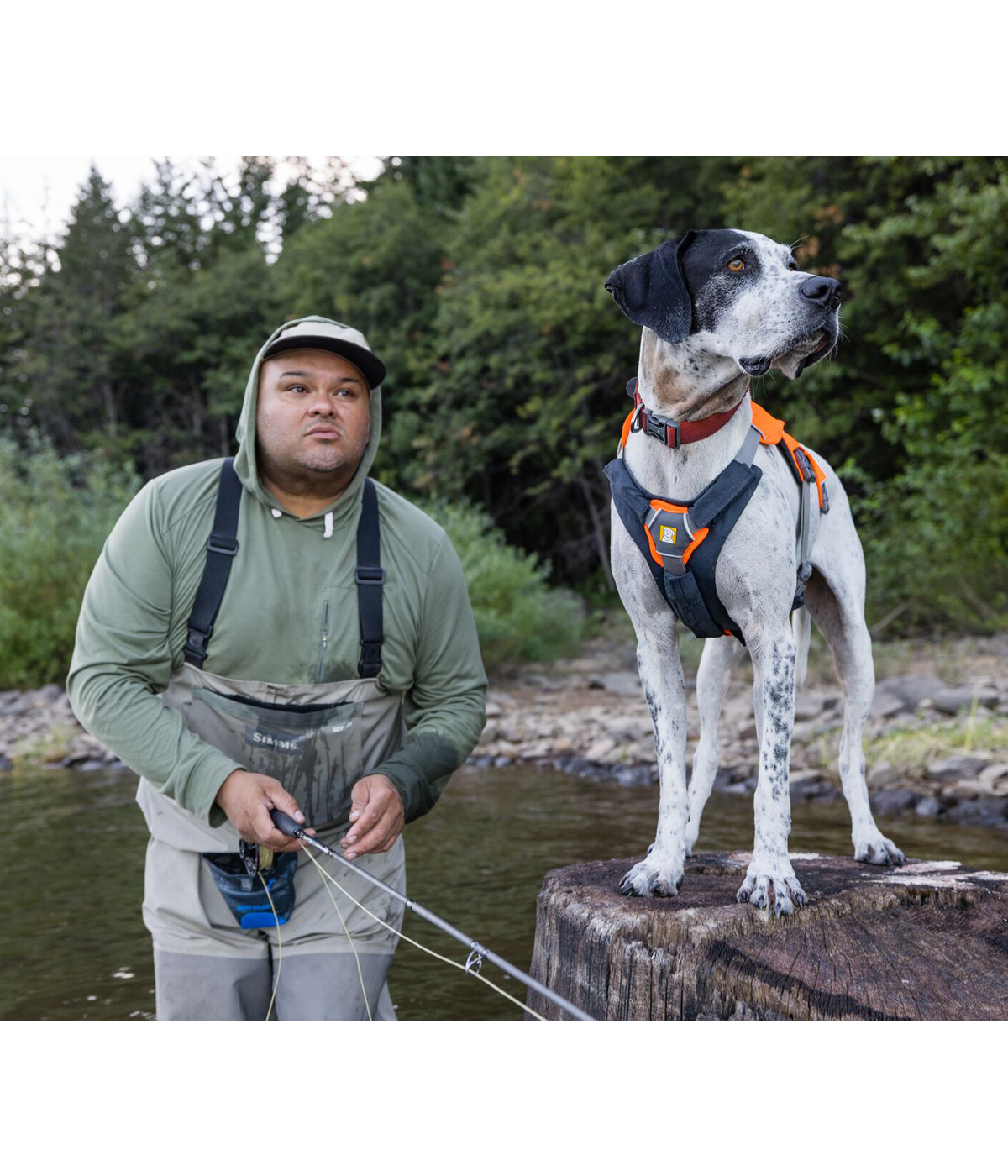 RUFFWEAR® Brustschutz Brush Guard™ Dehner