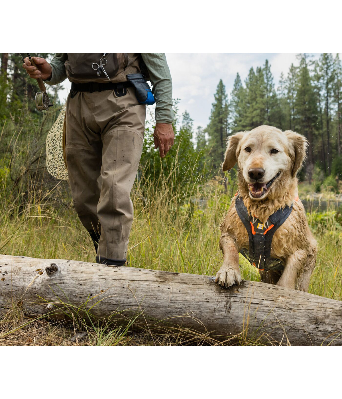 RUFFWEAR® Brustschutz Brush Guard™ Dehner