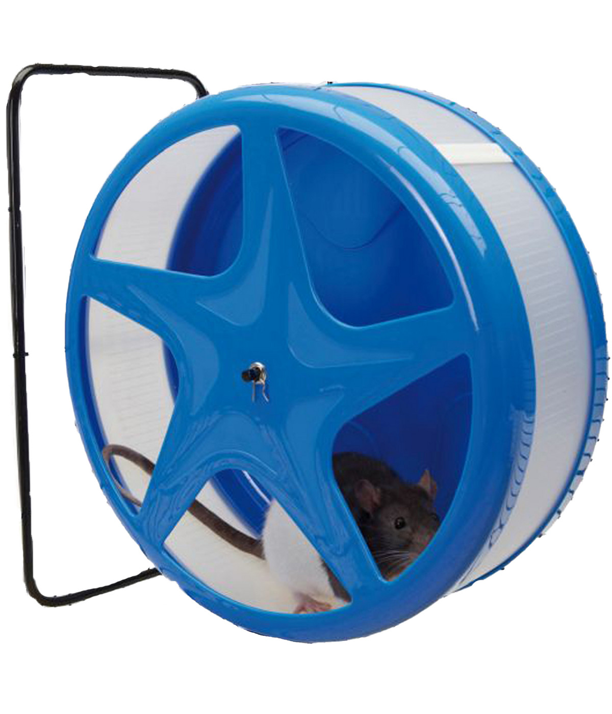 Savic NagerLaufrad Orbital, blau, ca. Ø28 cm Dehner