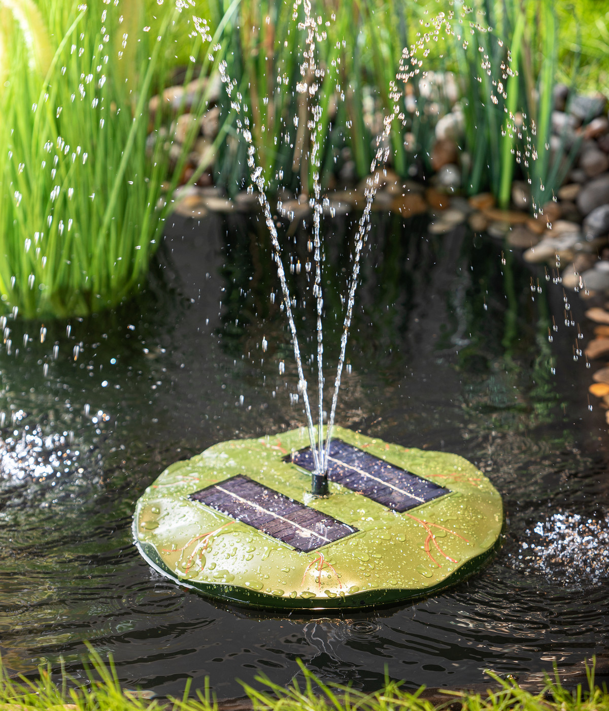 Esotec Solarpumpe Seerose für den Gartenteich Dehner