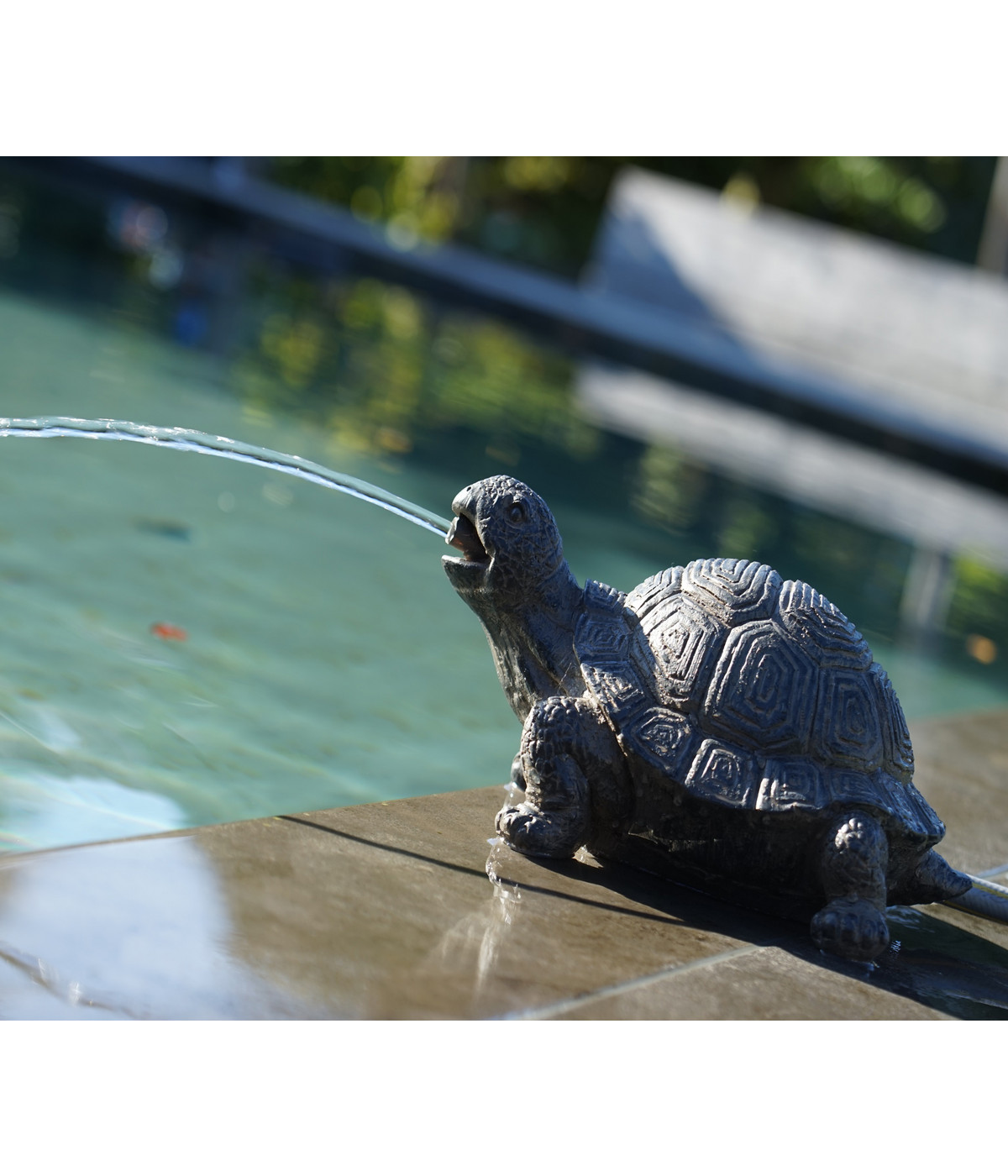 Ubbink PolyresinWasserspeier Schildkröte, ca. B21/H14/T18 cm Dehner
