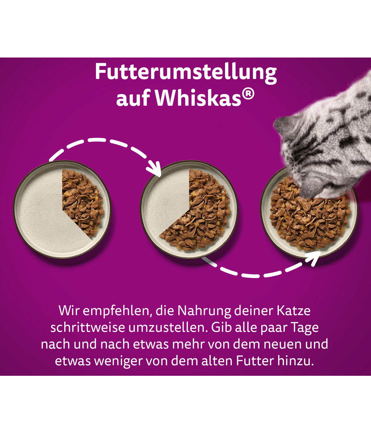 Whiskas® Nassfutter für Katzen Multipack Jumbo Klassische Auswahl in