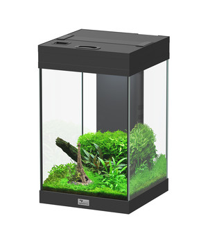 DENNERLE Mini-Aquarium Set Nano Cube®