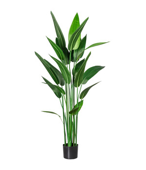 Dehner cm | 120 Kunstpflanze Palme, Dehner