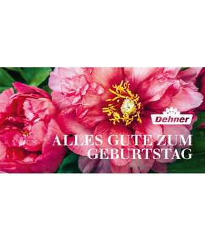Gutscheine per Post online kaufen Dehner