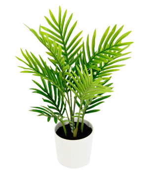 27 cm Dehner | Dehner Kunstpflanze Bonsai,