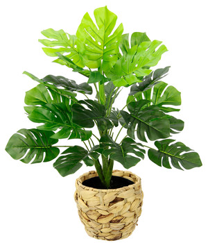 Dehner | Kunstpflanze Dehner 27 Bonsai, cm