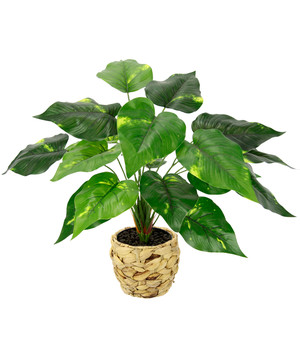 Dehner Kunstpflanze Bonsai, 27 cm | Dehner